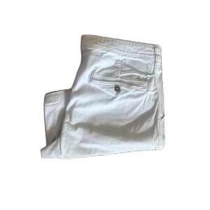 American Eagle Outfitters Light Blue Flat Front Men’s Shorts Size 34